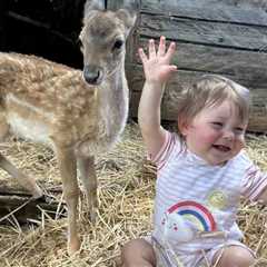 Orphaned Deer Falls Head Over Hooves For Rescuer’s 11-Month-Old Daughter–LOOK