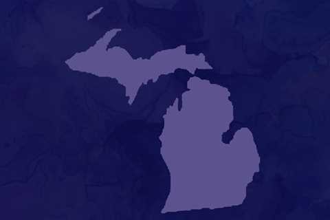 Michigan Supreme Court Affirms Custody Rights of Nongenetic LGBTQ Parents