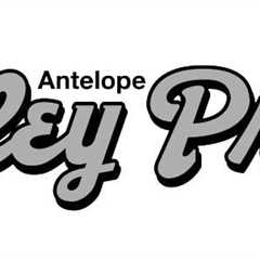 The Wedding Planner Hong Kong Expands Services to Include Virtual Wedding Planning | Antelope..
