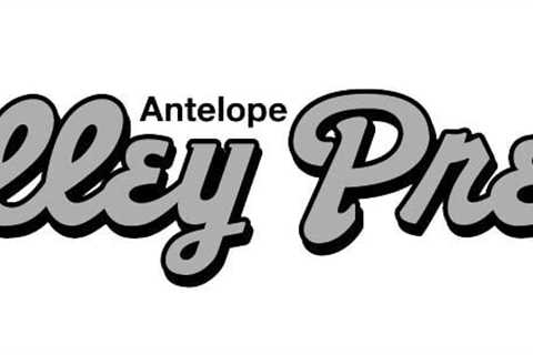 The Wedding Planner Hong Kong Expands Services to Include Virtual Wedding Planning | Antelope..